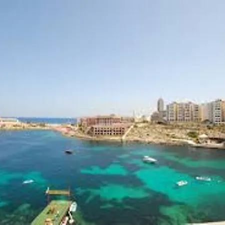 Large St Julians *